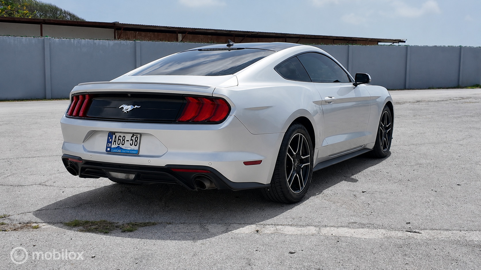 Ford Mustang photo 6
