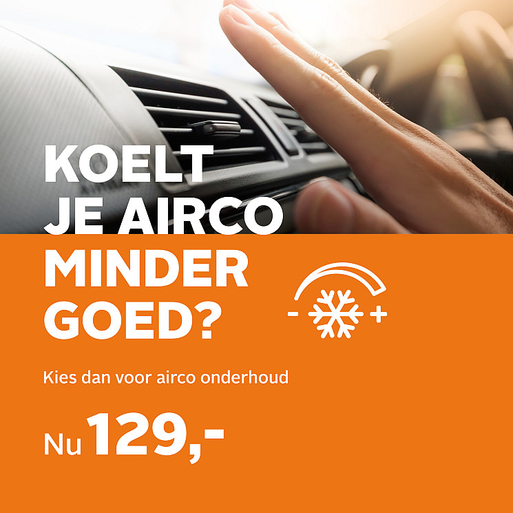 Carteam Autobedrijf Willemstad