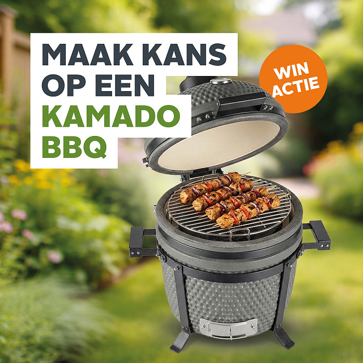 Carteam Autobedrijf Willemstad